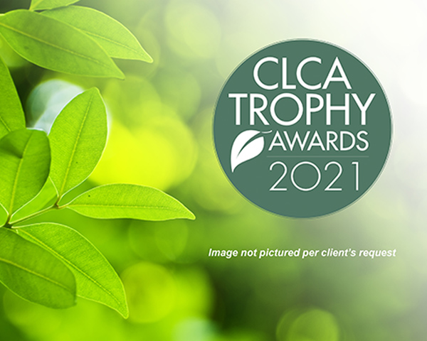 Olive Oasis landscape